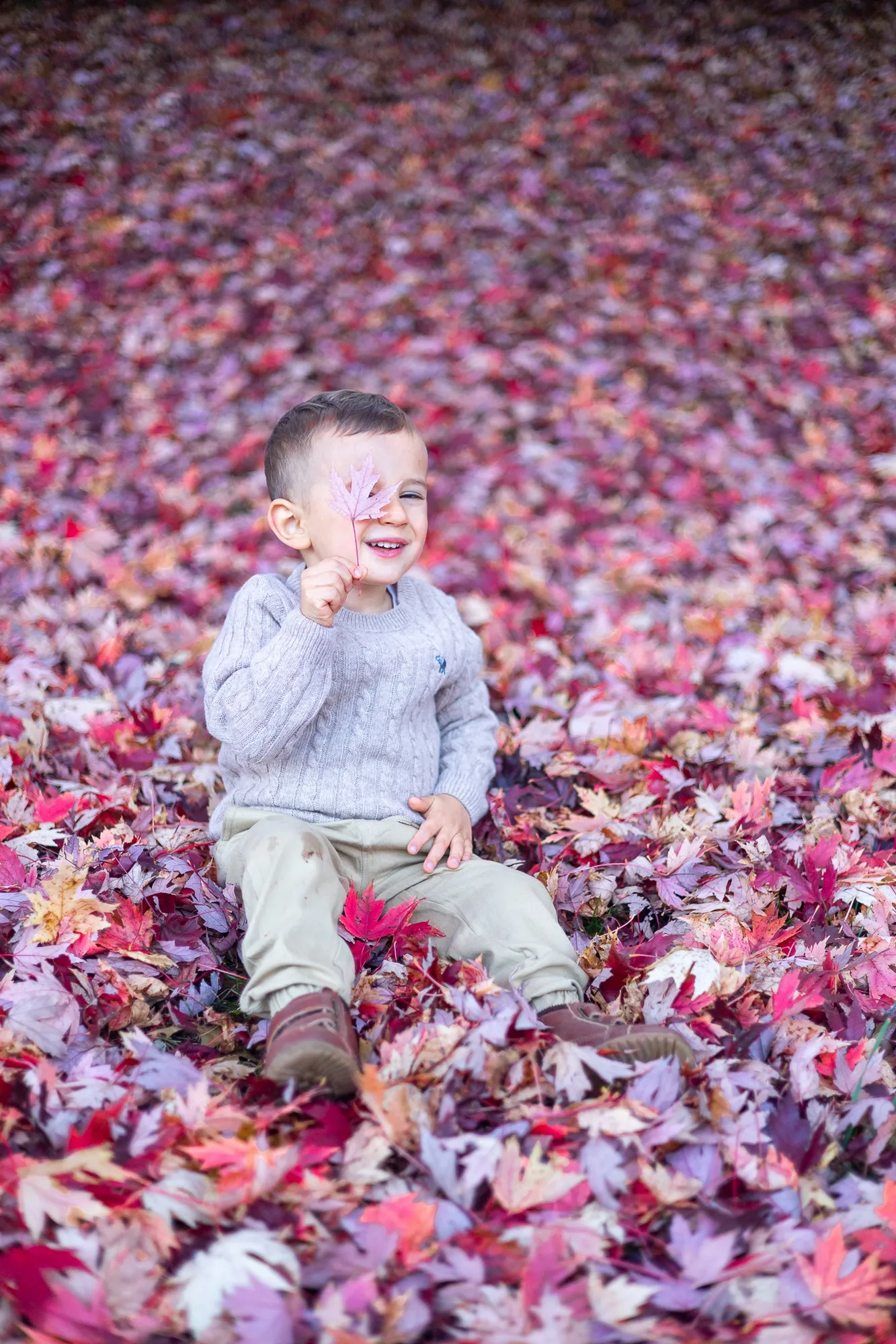 Fall minis | Anna Degismen Photography